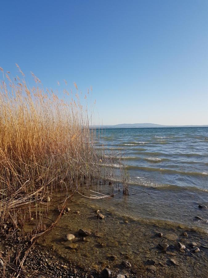 Kesswil Bnb Seaview מראה חיצוני תמונה